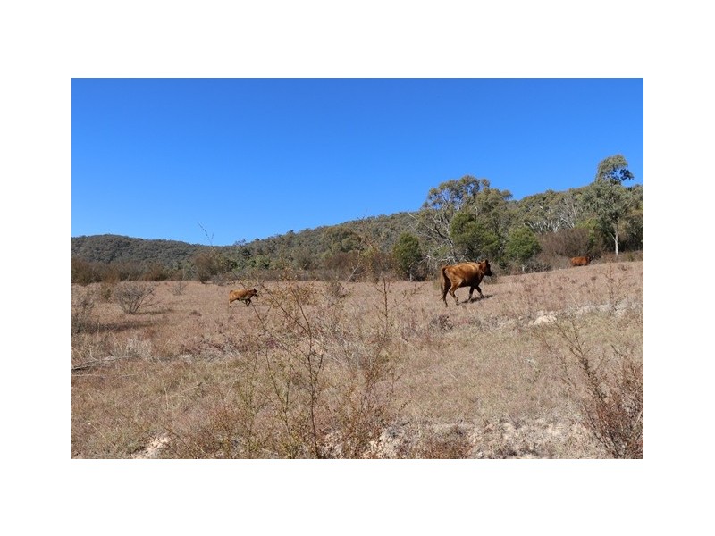 Lot 119 Nottingham Road, Wee Jasper NSW 2582