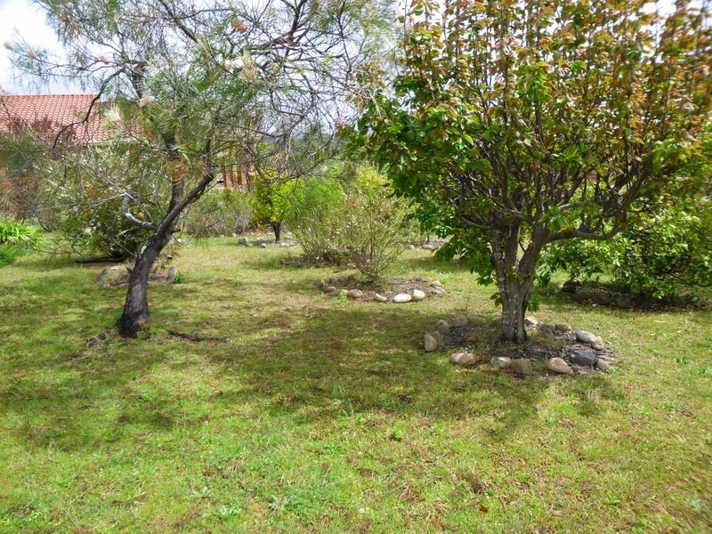 3 Craig Mostyn Place, Moruya NSW 2537