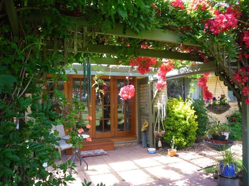 53 Mountain View Road, Moruya NSW 2537