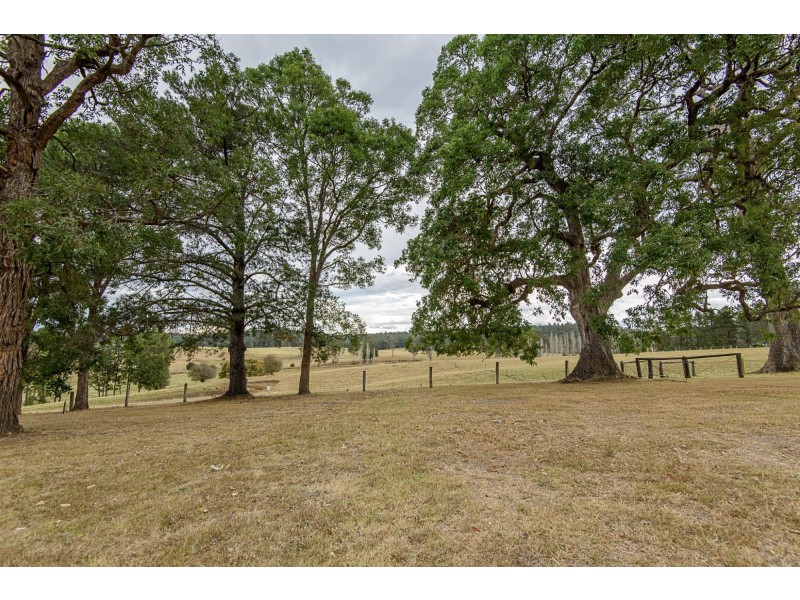 470 Larrys Mountain Road, Moruya NSW 2537