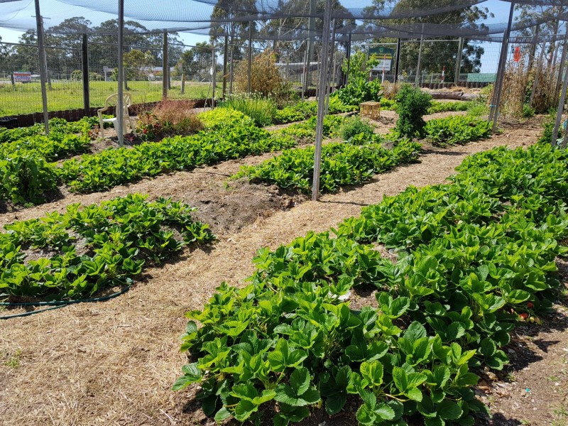 160 Princes Highway (Blue Earth Cafe), Bodalla NSW 2545