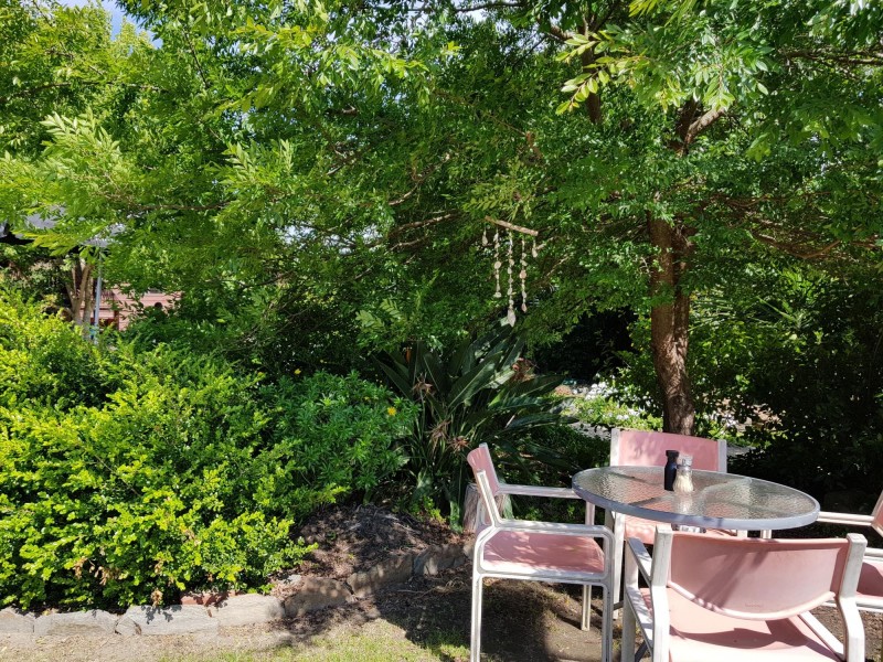 160 Princes Highway (Blue Earth Cafe), Bodalla NSW 2545