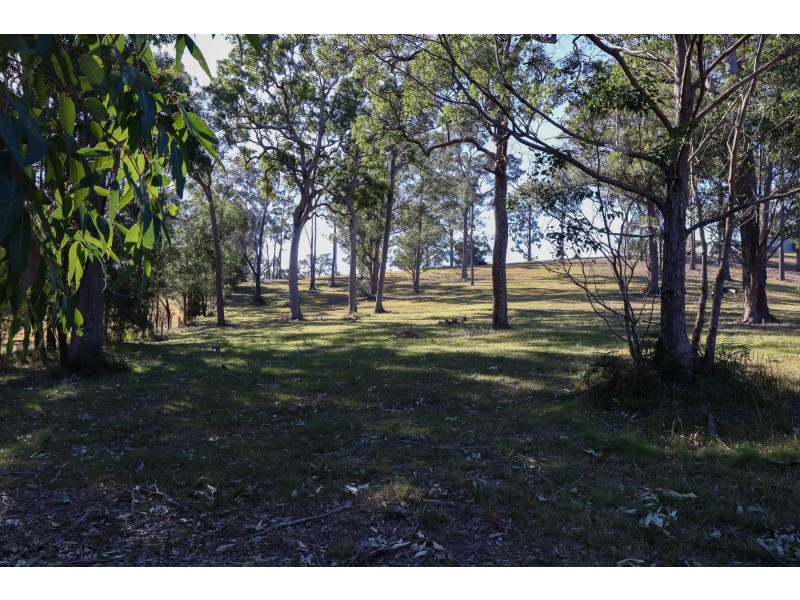 Lot 119 Lyrebird Place, Bodalla NSW 2545