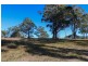 Lot 119 Lyrebird Place, Bodalla NSW 2545