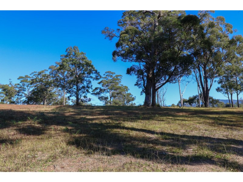 Lot 119 Lyrebird Place, Bodalla NSW 2545