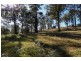 Lot 119 Lyrebird Place, Bodalla NSW 2545