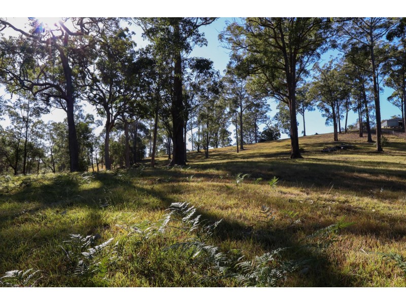Lot 119 Lyrebird Place, Bodalla NSW 2545