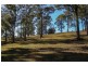Lot 119 Lyrebird Place, Bodalla NSW 2545