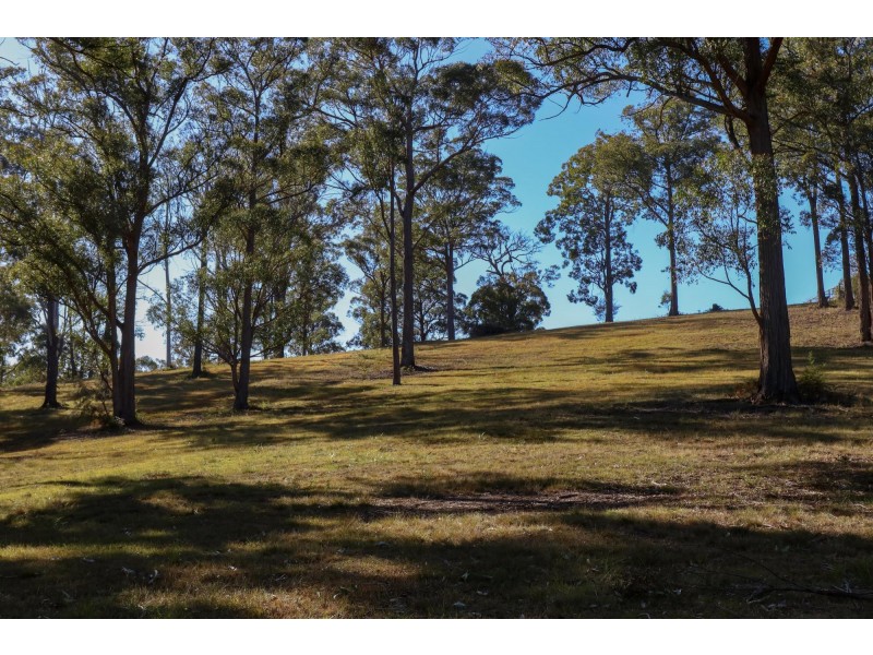 Lot 119 Lyrebird Place, Bodalla NSW 2545