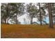 Lot 119 Lyrebird Place, Bodalla NSW 2545