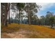 Lot 119 Lyrebird Place, Bodalla NSW 2545