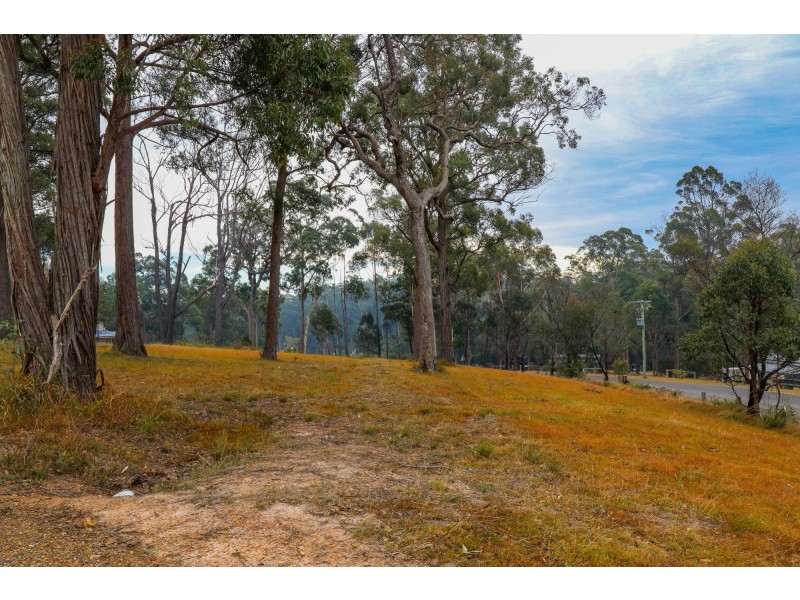 Lot 119 Lyrebird Place, Bodalla NSW 2545