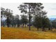Lot 119 Lyrebird Place, Bodalla NSW 2545