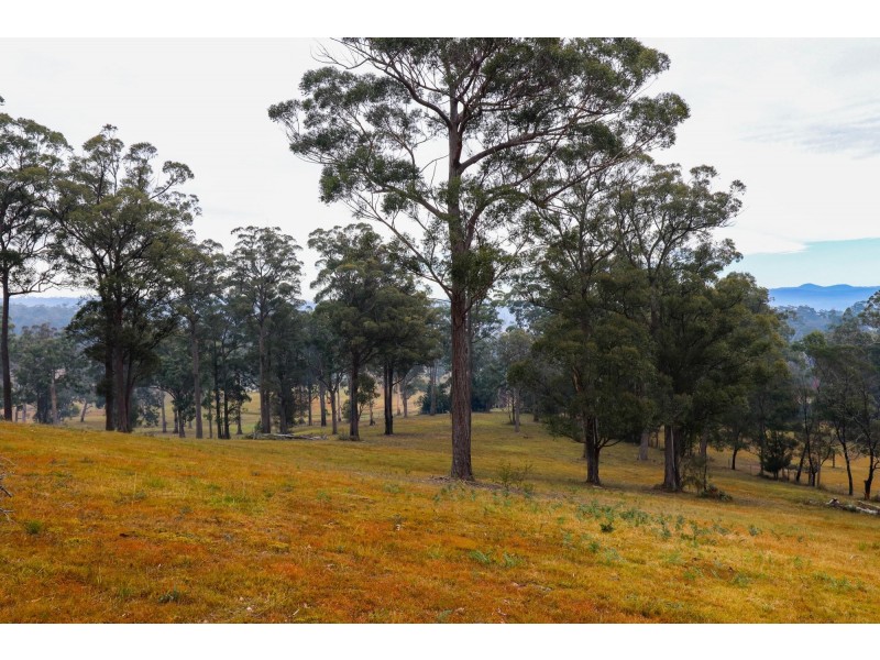 Lot 119 Lyrebird Place, Bodalla NSW 2545