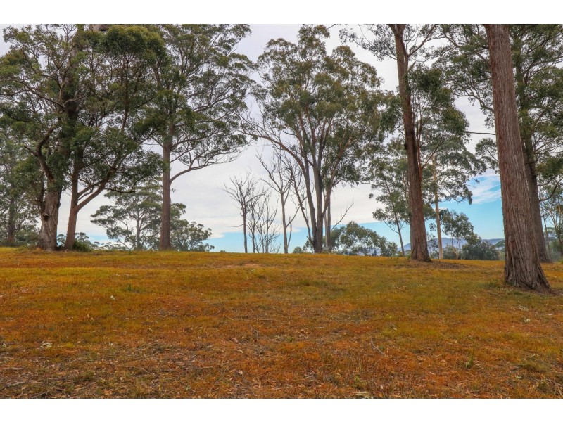 Lot 119 Lyrebird Place, Bodalla NSW 2545