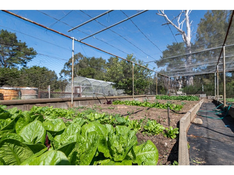 6 Cutharich Place, Moruya NSW 2537