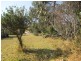11 Native Way, Moruya Heads NSW 2537