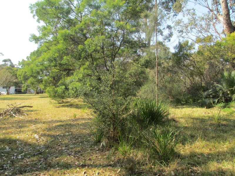 11 Native Way, Moruya Heads NSW 2537