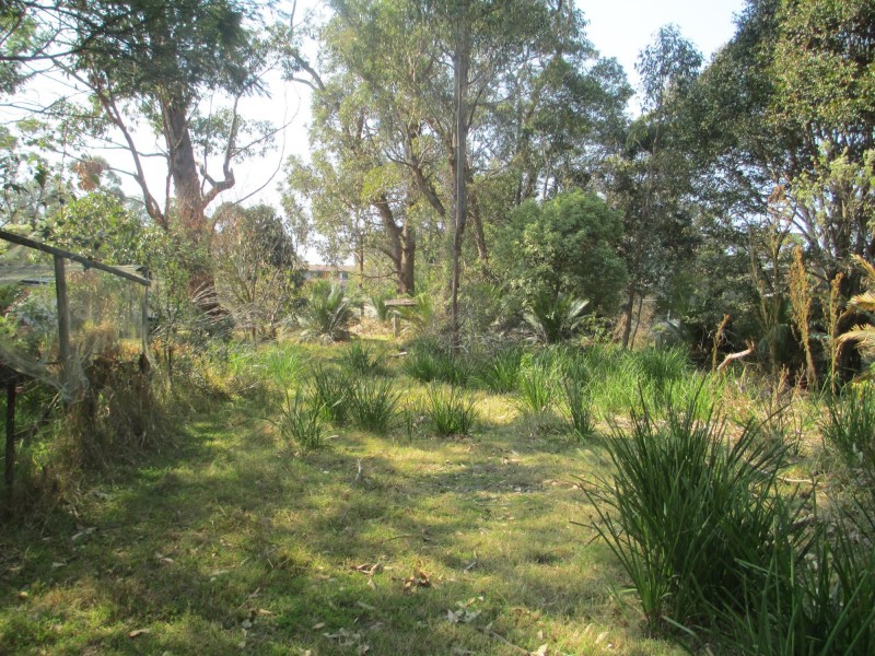 11 Native Way, Moruya Heads NSW 2537