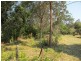 11 Native Way, Moruya Heads NSW 2537