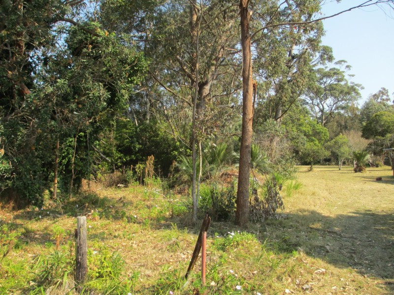 11 Native Way, Moruya Heads NSW 2537