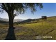 1 Caves Road, Wee Jasper NSW 2582