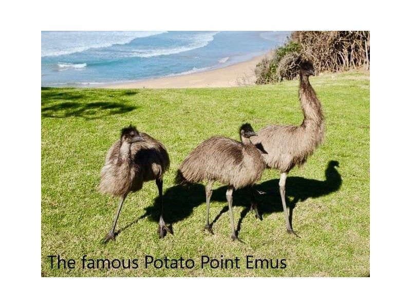 4/30 Long Point Street, Potato Point NSW 2545