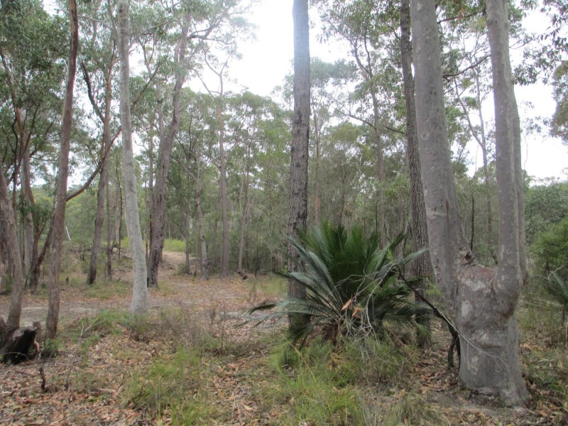 Lot 26 Pollwombra Road, Moruya NSW 2537