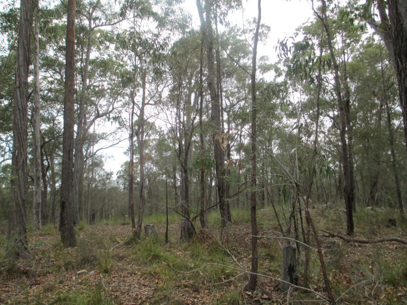 Lot 26 Pollwombra Road, Moruya NSW 2537