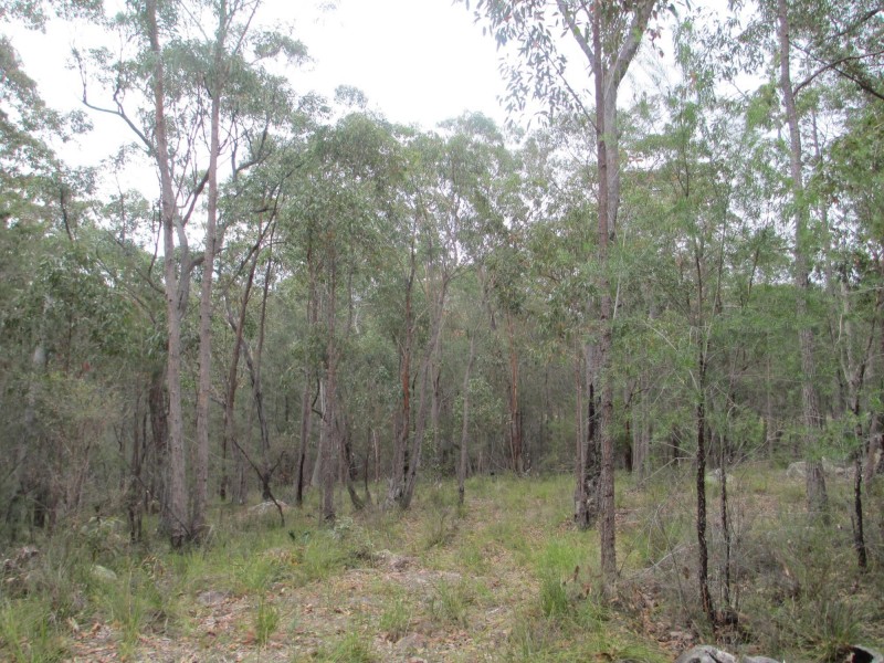 Lot 26 Pollwombra Road, Moruya NSW 2537