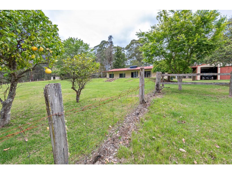 38 Gulph Creek Road, Nerrigundah NSW 2545