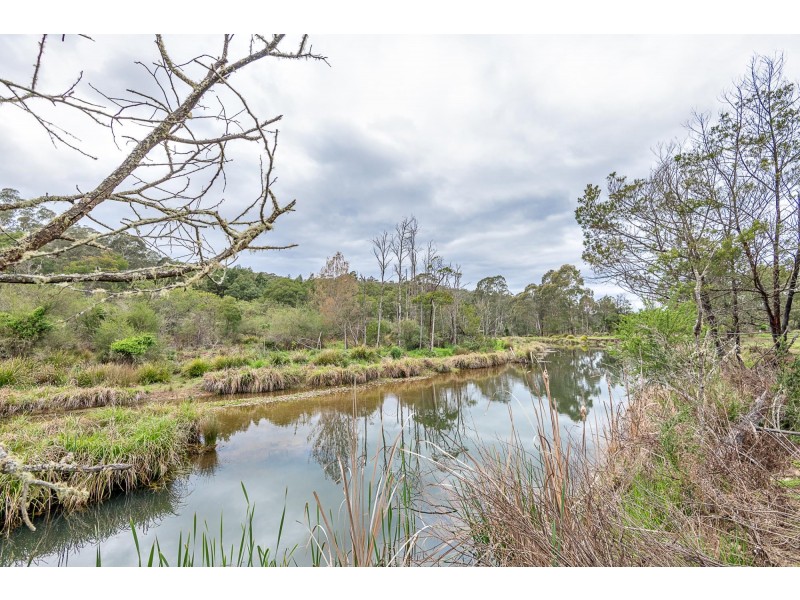 38 Gulph Creek Road, Nerrigundah NSW 2545
