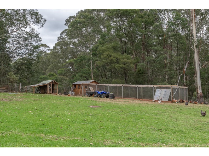 38 Gulph Creek Road, Nerrigundah NSW 2545