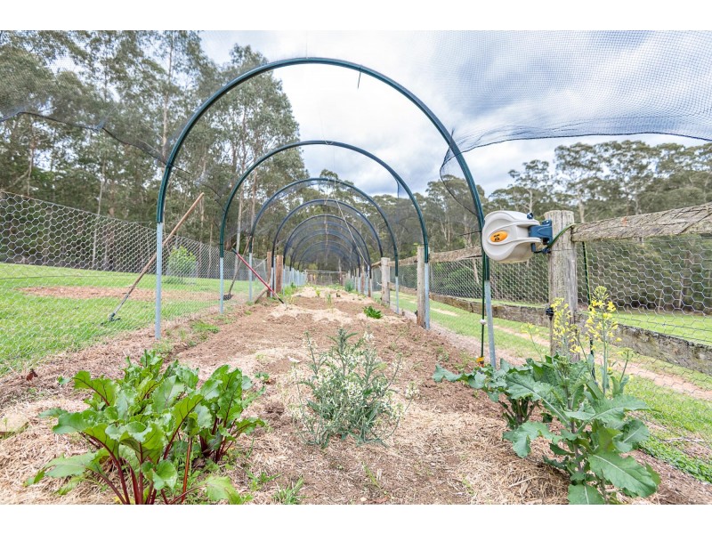 38 Gulph Creek Road, Nerrigundah NSW 2545