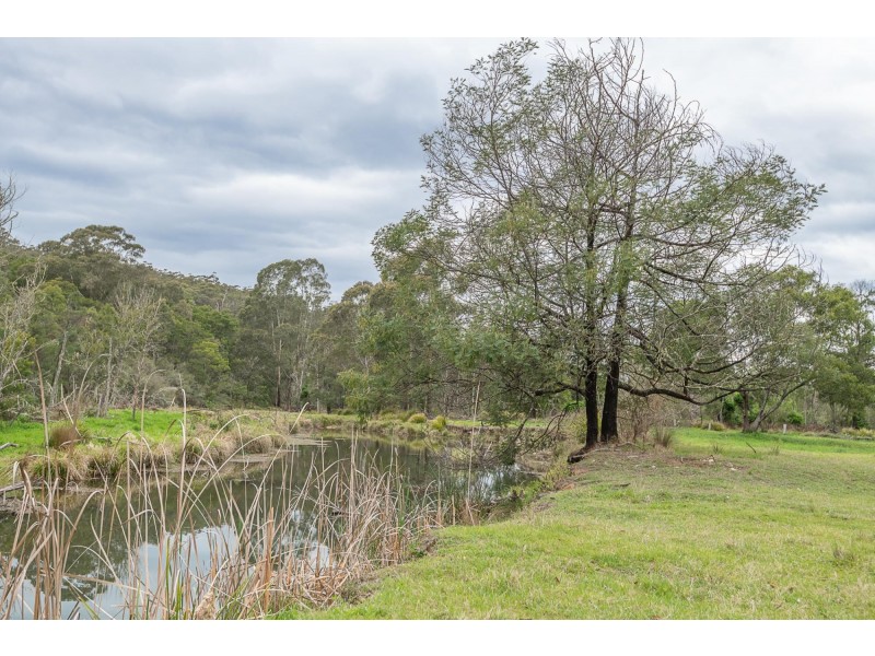 38 Gulph Creek Road, Nerrigundah NSW 2545