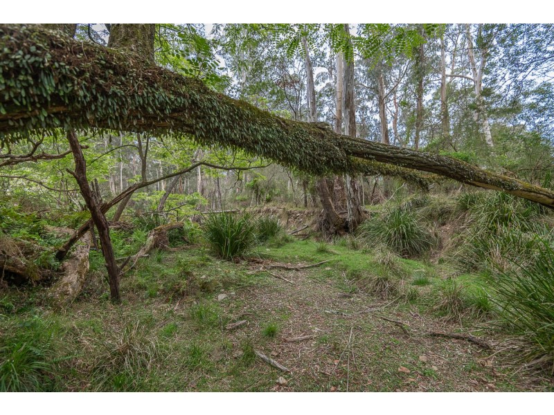 38 Gulph Creek Road, Nerrigundah NSW 2545