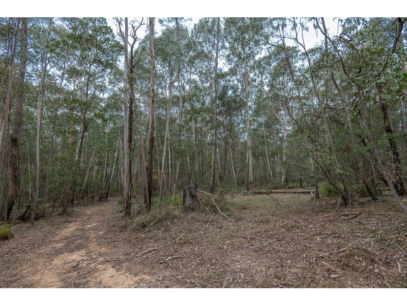 38 Gulph Creek Road, Nerrigundah NSW 2545