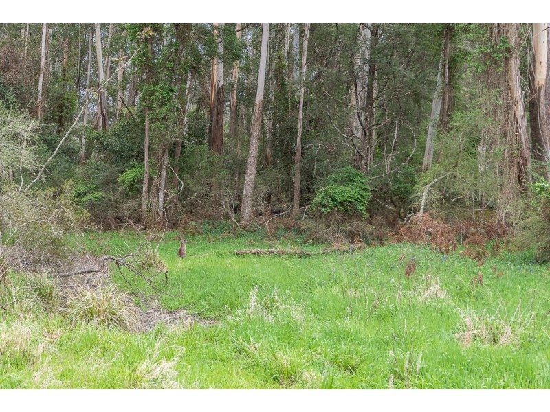 38 Gulph Creek Road, Nerrigundah NSW 2545