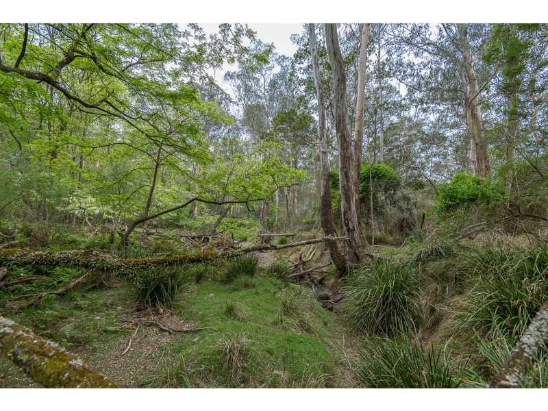 38 Gulph Creek Road, Nerrigundah NSW 2545