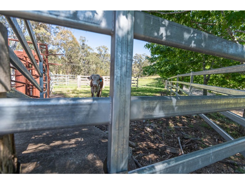 46 Summerhill Road, Moruya NSW 2537