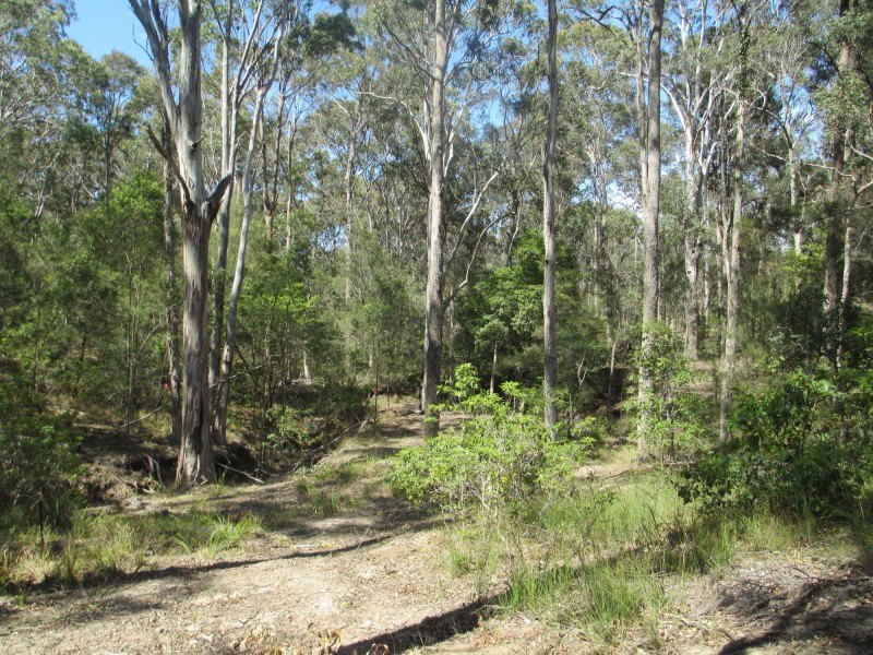 37 Collett Place, Meringo NSW 2537