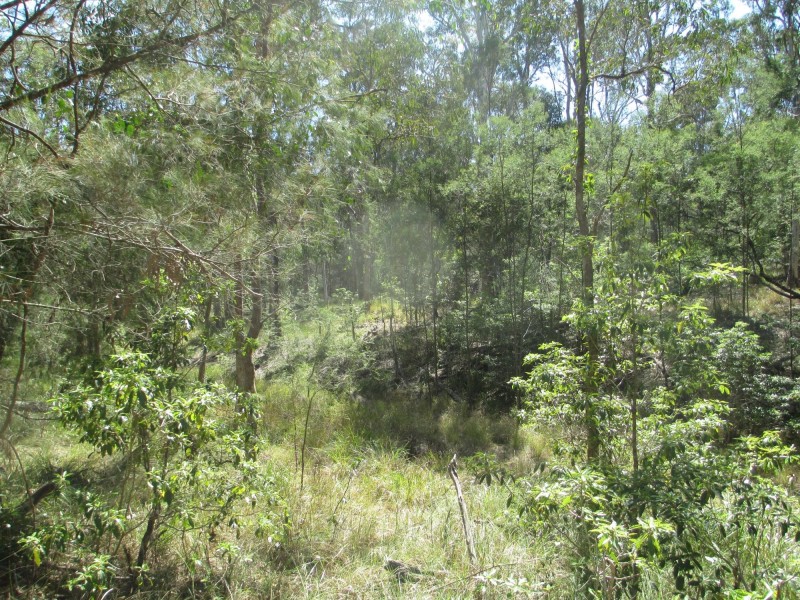 37 Collett Place, Meringo NSW 2537