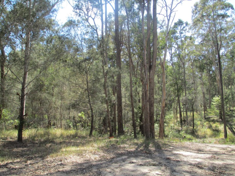 37 Collett Place, Meringo NSW 2537