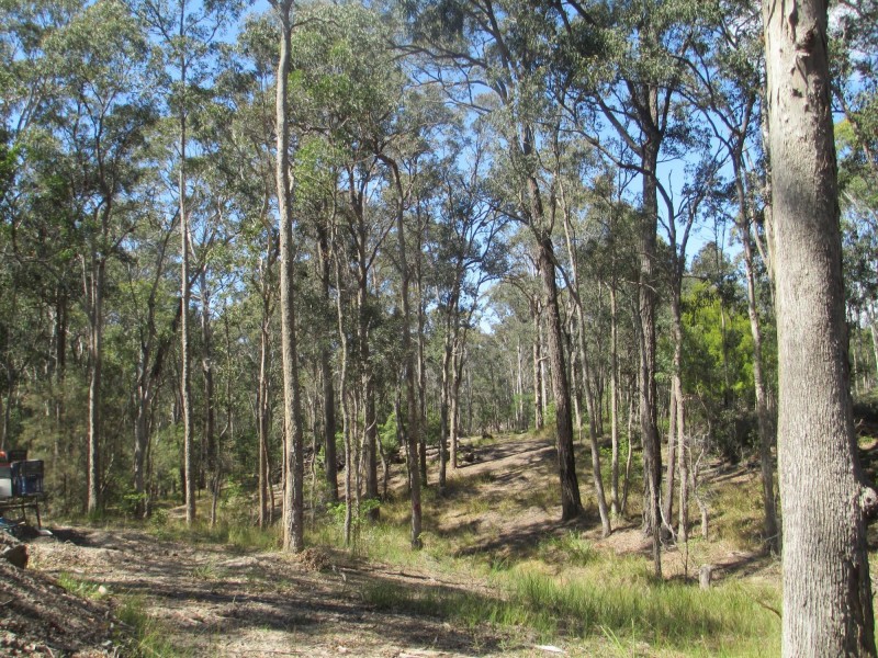37 Collett Place, Meringo NSW 2537