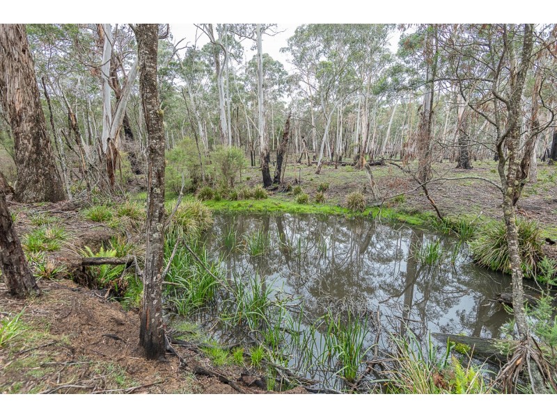 7019 Nerriga Road, Nerriga NSW 2622