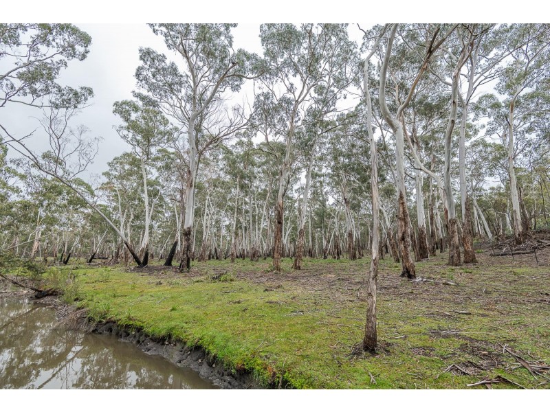 7019 Nerriga Road, Nerriga NSW 2622