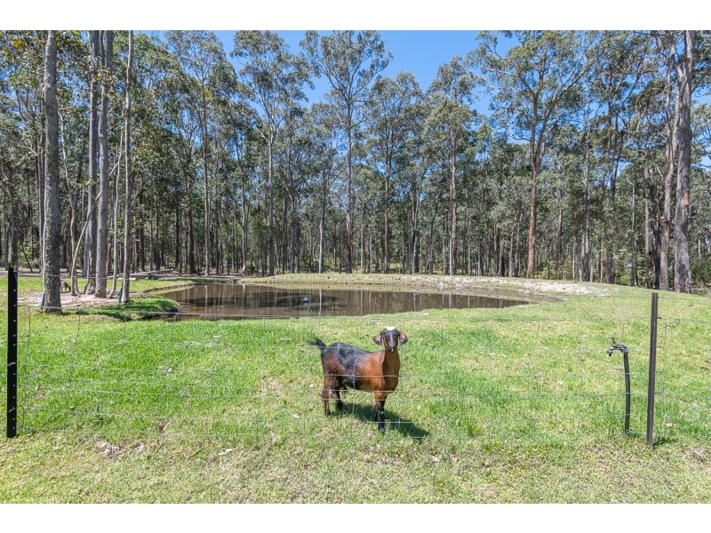 38 Collett Place, Meringo NSW 2537