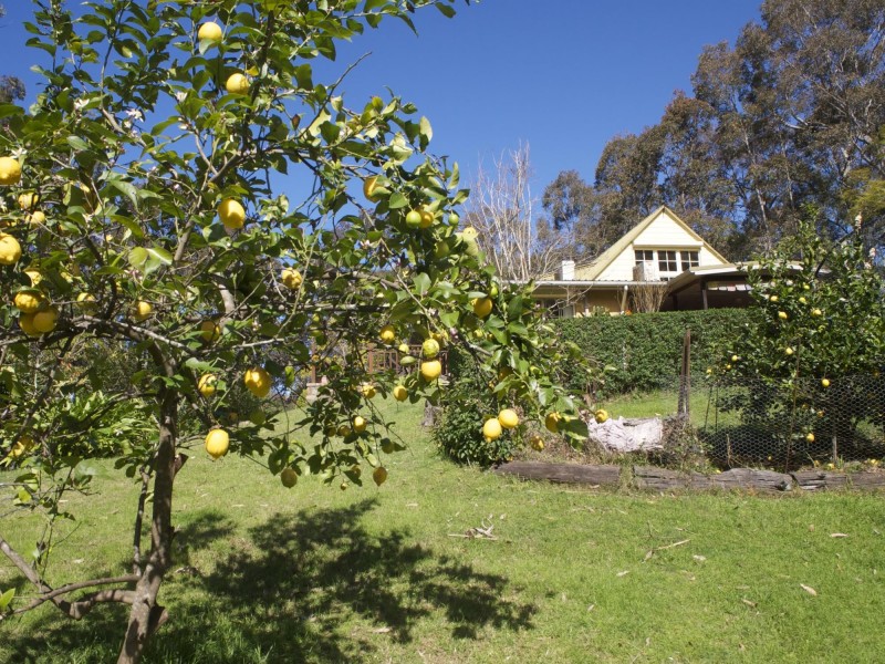 587 Larrys Mountain Rd, Moruya NSW 2537