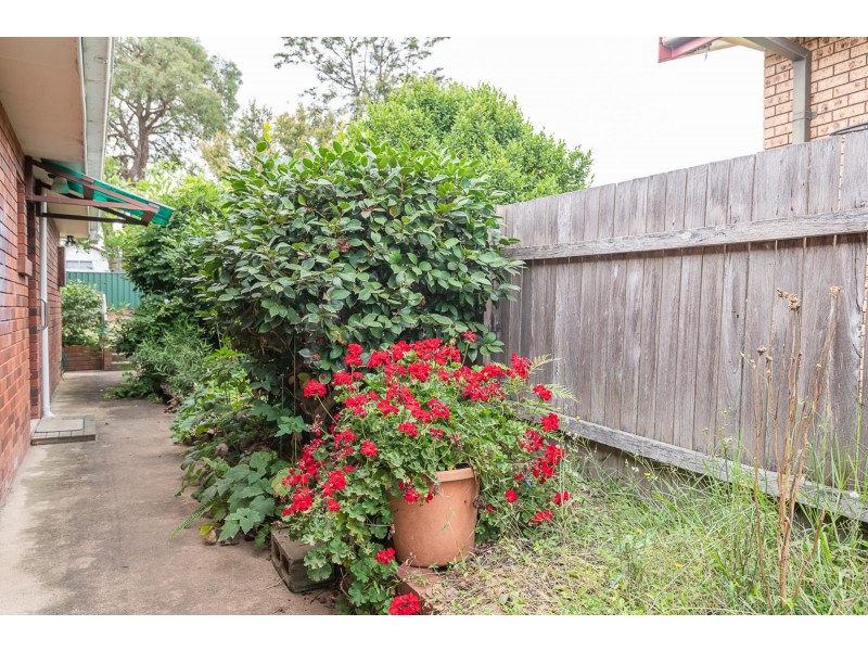 22 Moruya Street, Moruya NSW 2537