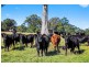 184 Princes Highway, Bodalla NSW 2545